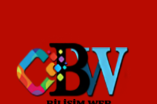 BilişimW Web Hizmetleri