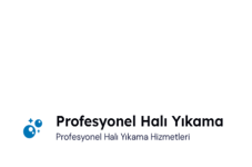 Profesyonel Halı Yıkama