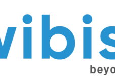 Wibisoft