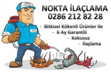 Nokta İlaçlama